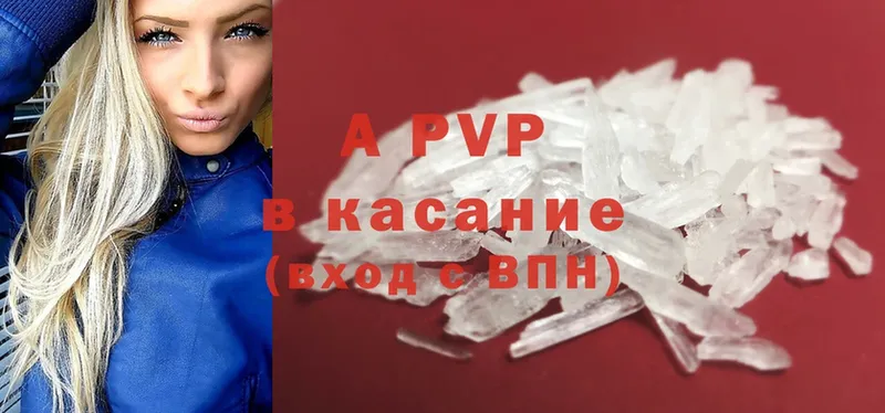 A PVP СК  Коряжма 